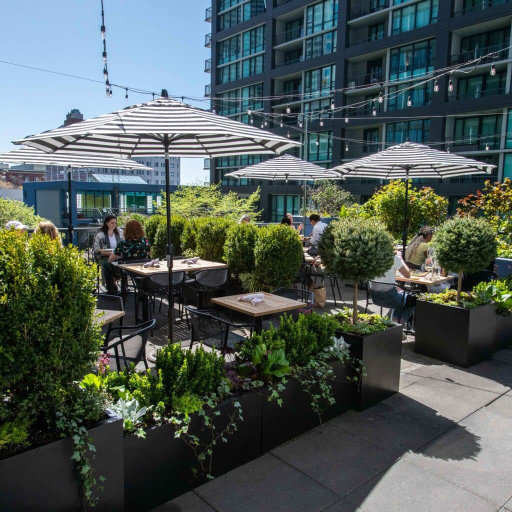 Image of a sunny outdoor patio with tables and shaded by black and white umbrellas.